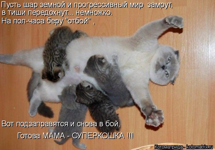 Пусть шар земной и прогрессивный мир замрут, в тиши передохнут... немножко. На пол-часа беру "отбой"... Котоматрица: Пусть шар земной и прогрессивный мир замрут, в тиши передохнут... немножко. На пол-часа беру "отбой" , Вот подзаправятся и снова в бой, Готова
