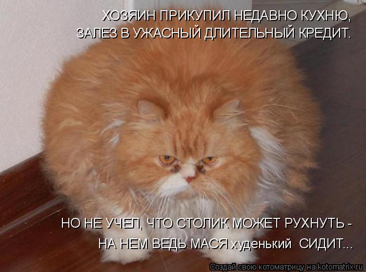 ХОЗЯИН ПРИКУПИЛ НЕДАВНО КУХНЮ, ЗАЛЕЗ В УЖАСНЫЙ ДЛИТЕЛЬНЫЙ КРЕДИТ. НО НЕ УЧЕЛ, ЧТО СТОЛИК МОЖЕТ РУХНУ... Котоматрица: ХОЗЯИН ПРИКУПИЛ НЕДАВНО КУХНЮ, ЗАЛЕЗ В УЖАСНЫЙ ДЛИТЕЛЬНЫЙ КРЕДИТ. НО НЕ УЧЕЛ, ЧТО СТОЛИК МОЖЕТ РУХНУТЬ - НА НЕМ ВЕДЬ МАСЯ худенький СИДИТ...