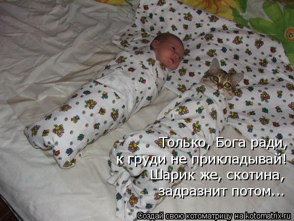 Только, Бога ради, к груди не прикладывай! Шарик же, скотина, задразнит потом...... Котоматрица: Только, Бога ради, к груди не прикладывай! Шарик же, скотина, задразнит потом...