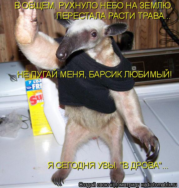 В ОБЩЕМ, РУХНУЛО НЕБО НА ЗЕМЛЮ, ПЕРЕСТАЛА РАСТИ ТРАВА... НЕ ПУГАЙ МЕНЯ, БАРСИК ЛЮБИМЫЙ! Я СЕГОДНЯ УВ... Котоматрица: В ОБЩЕМ, РУХНУЛО НЕБО НА ЗЕМЛЮ, ПЕРЕСТАЛА РАСТИ ТРАВА... НЕ ПУГАЙ МЕНЯ, БАРСИК ЛЮБИМЫЙ! Я СЕГОДНЯ УВЫ, "В ДРОВА"...