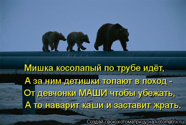 Мишка косолапый по трубе идёт, А за ним детишки топают в поход - От девчонки МАШИ чтобы убежать, А то... Котоматрица: Мишка косолапый по трубе идёт, А за ним детишки топают в поход - От девчонки МАШИ чтобы убежать, А то наварит каши и заставит жрать.