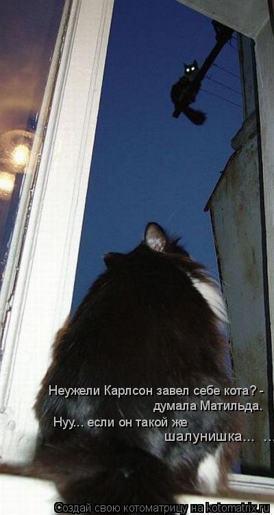 Неужели Карлсон завел себе кота? - Нуу... если он такой же думала Матильда. шалунишка... ...... Котоматрица: Неужели Карлсон завел себе кота? - Нуу... если он такой же думала Матильда. шалунишка... ...