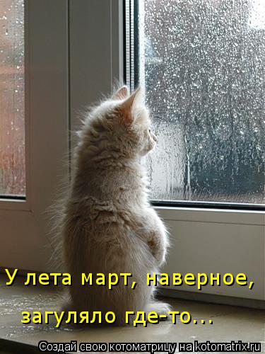 У лета март, наверное, загуляло где-то...... Котоматрица: У лета март, наверное, загуляло где-то...