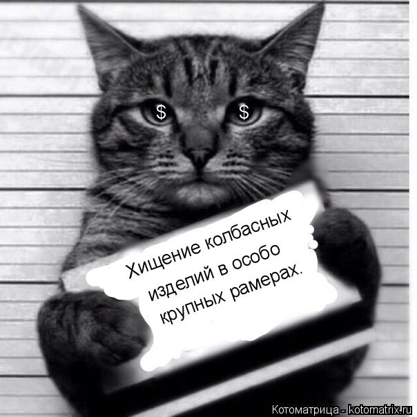 $ $ Хищение колбасных изделий в особо крупных рамерах.... Котоматрица: $ $ Хищение колбасных изделий в особо крупных рамерах.
