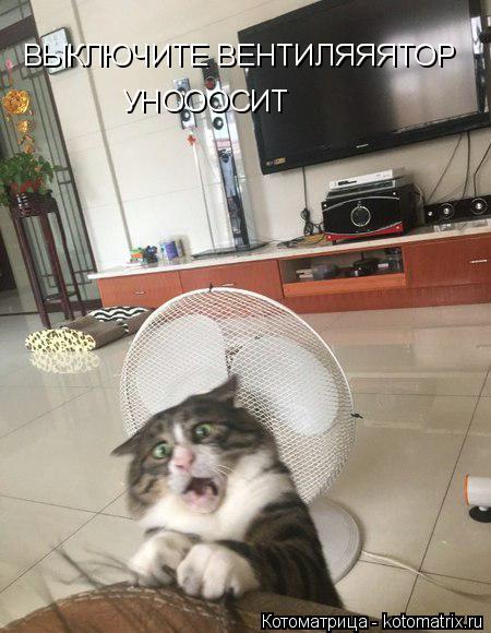 ВЫКЛЮЧИТЕ ВЕНТИЛЯЯЯТОР УНОООСИТ... Котоматрица: ВЫКЛЮЧИТЕ ВЕНТИЛЯЯЯТОР УНОООСИТ