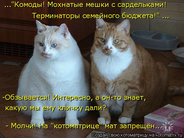 ..."Комоды! Мохнатые мешки с сардельками! Терминаторы семейного бюджета!" ... - Молчи! На "котоматриц... Котоматрица: ..."Комоды! Мохнатые мешки с сардельками! Терминаторы семейного бюджета!" ... - Молчи! На "котоматрице" мат запрещён... -Обзывается! Интересно, а о