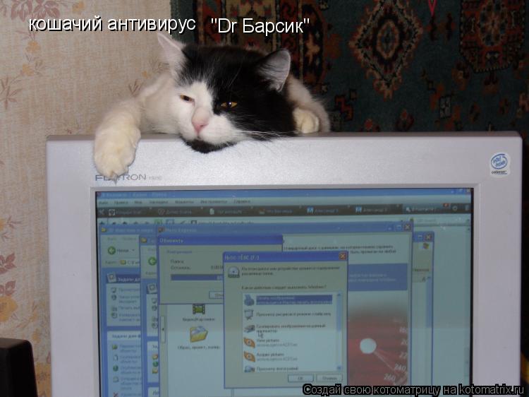 кошачий антивирус "Dr Барсик"... Котоматрица: кошачий антивирус "Dr Барсик"