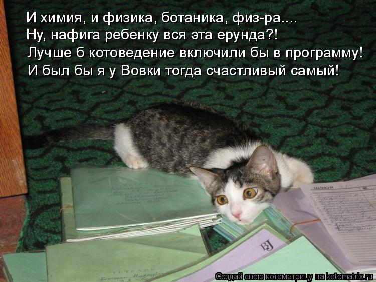 И химия, и физика, ботаника, физ-ра.... Ну, нафига ребенку вся эта ерунда?! Лучше б котоведение включ... Котоматрица: И химия, и физика, ботаника, физ-ра.... Ну, нафига ребенку вся эта ерунда?! Лучше б котоведение включили бы в программу! И был бы я у Вовки тогда