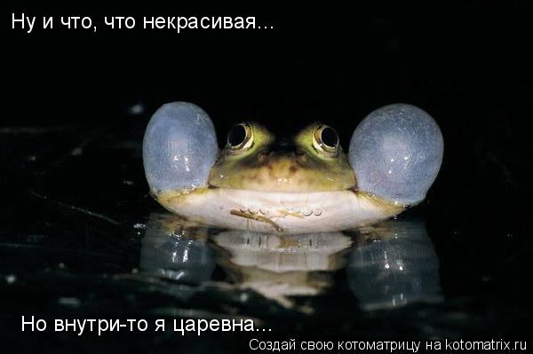 Ну и что, что некрасивая... Но внутри-то я царевна...... Котоматрица: Ну и что, что некрасивая... Но внутри-то я царевна...