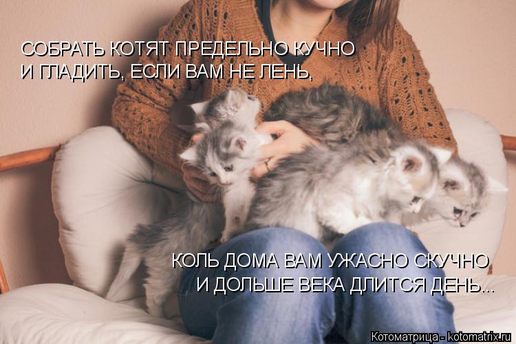 СОБРАТЬ КОТЯТ ПРЕДЕЛЬНО КУЧНО И ГЛАДИТЬ, ЕСЛИ ВАМ НЕ ЛЕНЬ, КОЛЬ ДОМА ВАМ УЖАСНО СКУЧНО И ДОЛЬШЕ ВЕ... Котоматрица: СОБРАТЬ КОТЯТ ПРЕДЕЛЬНО КУЧНО И ГЛАДИТЬ, ЕСЛИ ВАМ НЕ ЛЕНЬ, КОЛЬ ДОМА ВАМ УЖАСНО СКУЧНО И ДОЛЬШЕ ВЕКА ДЛИТСЯ ДЕНЬ...