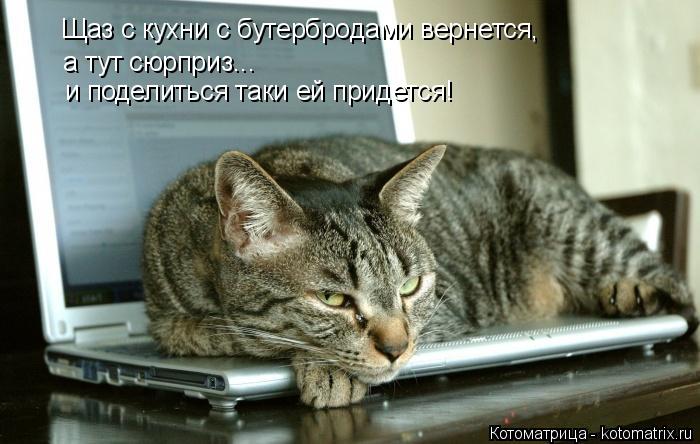 Щаз с кухни с бутербродами вернется, а тут сюрприз... и поделиться таки ей придется!... Котоматрица: Щаз с кухни с бутербродами вернется, а тут сюрприз... и поделиться таки ей придется!