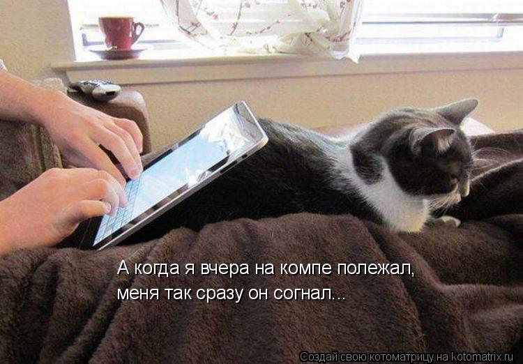 А когда я вчера на компе полежал, меня так сразу он согнал...... Котоматрица: А когда я вчера на компе полежал, меня так сразу он согнал...