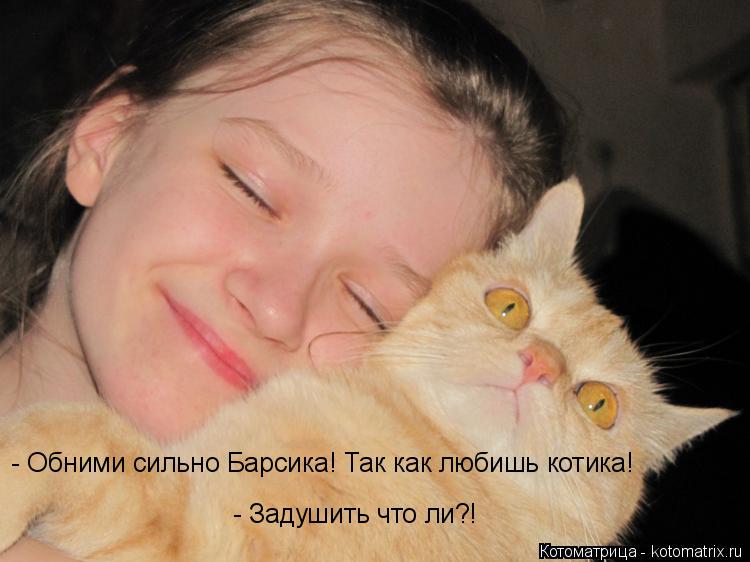 - Обними сильно Барсика! Так как любишь котика! - Задушить что ли?!... Котоматрица: - Обними сильно Барсика! Так как любишь котика! - Задушить что ли?!