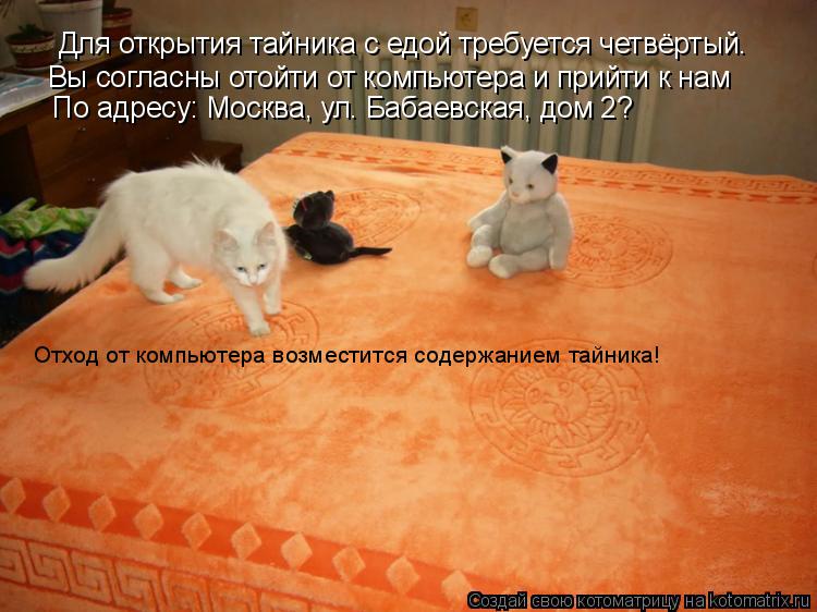 Для открытия тайника с едой требуется четвёртый. Вы согласны отойти от компьютера и прийти к нам По а... Котоматрица: Для открытия тайника с едой требуется четвёртый. Вы согласны отойти от компьютера и прийти к нам По адресу: Москва, ул. Бабаевская, дом 2? Отх