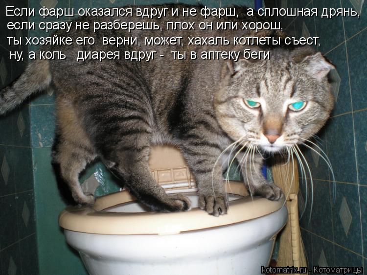 ну, а коль диарея вдруг - ты в аптеку беги Если фарш оказался вдруг и не фарш, а сплошная дрянь, ... Котоматрица: ну, а коль диарея вдруг - ты в аптеку беги Если фарш оказался вдруг и не фарш, а сплошная дрянь, если сразу не разберешь, плох он или хорош,