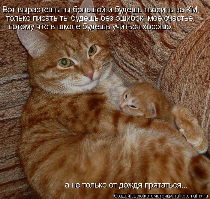 Вот вырастешь ты большой и будешь творить на КМ, только писать ты будешь без ошибок, мое счастье, ... Котоматрица: Вот вырастешь ты большой и будешь творить на КМ, только писать ты будешь без ошибок, мое счастье, потому что в школе будешь учиться хорошо,