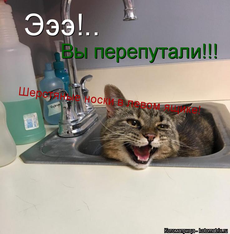 Эээ!.. Вы перепутали!!! Шерстяные носки в левом ящике!... Котоматрица: Эээ!.. Вы перепутали!!! Шерстяные носки в левом ящике!