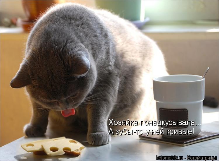 Хозяйка понадкусывала... А зубы-то у ней кривые!... Котоматрица: Хозяйка понадкусывала... А зубы-то у ней кривые!