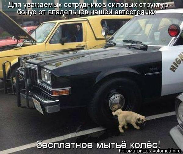 - Для уважаемых сотрудников силовых структур - бонус от владельцев нашей автостоянки бесплатное мыть... Котоматрица: - Для уважаемых сотрудников силовых структур - бонус от владельцев нашей автостоянки бесплатное мытьё колёс!