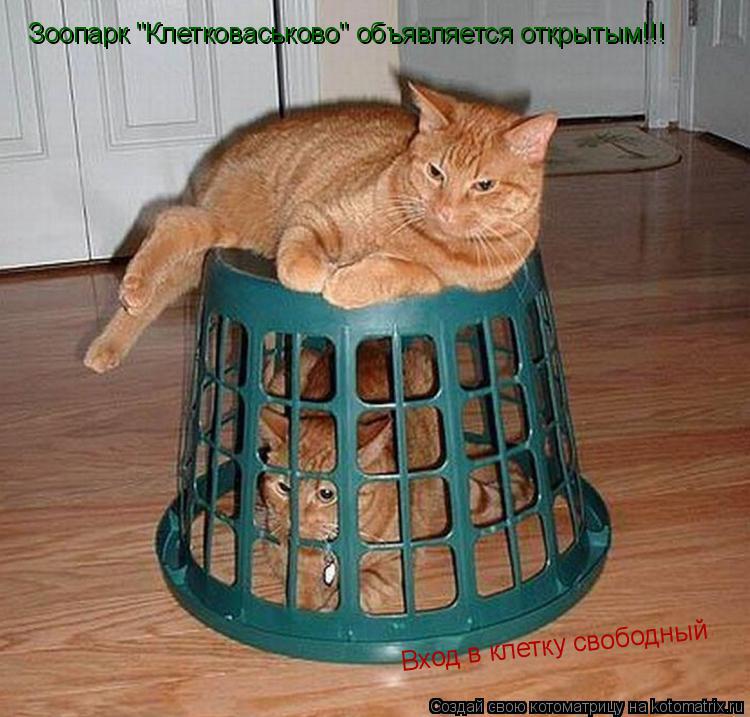Зоопарк "Клетковаськово" объявляется открытым!!! Вход в клетку свободный... Котоматрица: Зоопарк "Клетковаськово" объявляется открытым!!! Вход в клетку свободный