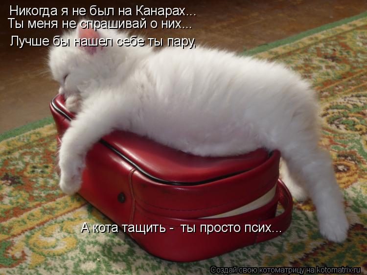 Никогда я не был на Канарах... Ты меня не спрашивай о них... Лучше бы нашел себе ты пару, А кота тащ... Котоматрица: Никогда я не был на Канарах... Ты меня не спрашивай о них... Лучше бы нашел себе ты пару, А кота тащить - ты просто псих...