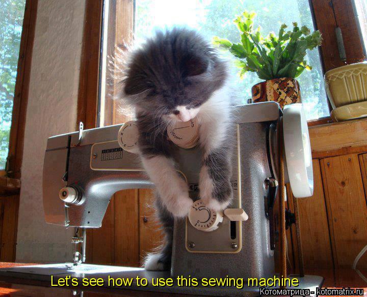 Let's see how to use this sewing machine... Котоматрица: Let's see how to use this sewing machine