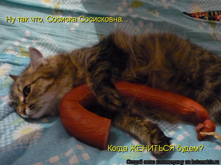 Ну так что, Сосиска Сосисковна... Когда ЖЕНИТЬСЯ будем?... Котоматрица: Ну так что, Сосиска Сосисковна... Когда ЖЕНИТЬСЯ будем?