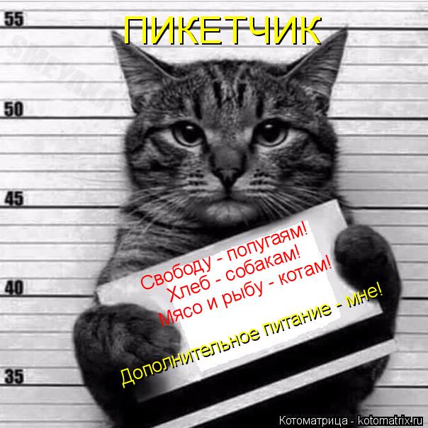 Свободу - попугаям! Хлеб - собакам! Мясо и рыбу - котам! Дополнительное питание - мне! ПИКЕТЧИК... Котоматрица: Свободу - попугаям! Хлеб - собакам! Мясо и рыбу - котам! Дополнительное питание - мне! ПИКЕТЧИК