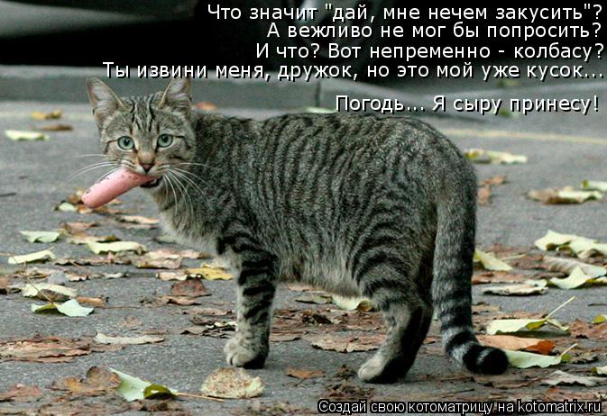Что значит "дай, мне нечем закусить"? А вежливо не мог бы попросить? И что? Вот непременно - колбасу?... Котоматрица: Что значит "дай, мне нечем закусить"? А вежливо не мог бы попросить? И что? Вот непременно - колбасу? Погодь... Я сыру принесу! Ты извини меня, др