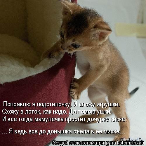 Поправлю я подстилочку. И сложу игрушки. Схожу в лоток, как надо. Да помою ушки. И все тогда мамулечк... Котоматрица: Поправлю я подстилочку. И сложу игрушки. Схожу в лоток, как надо. Да помою ушки. И все тогда мамулечка простит дочурке-киске: … Я ведь все до д
