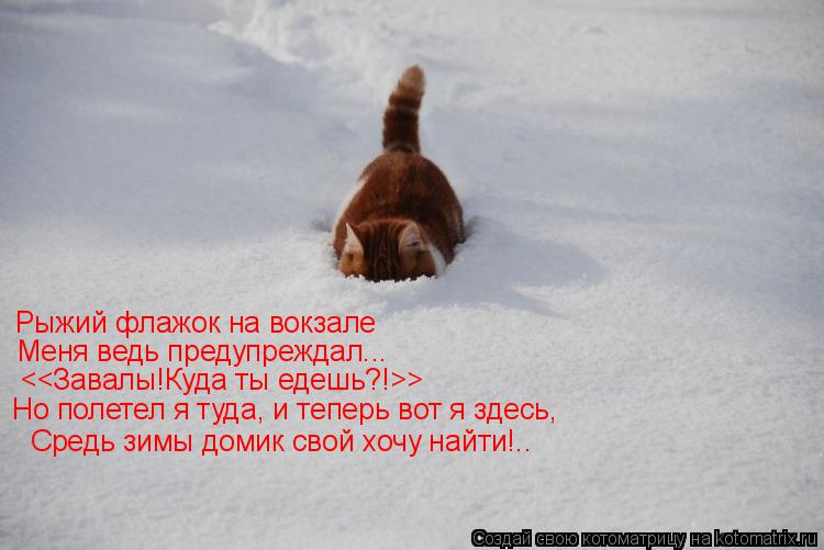 Рыжий флажок на вокзале Меня ведь предупреждал... <<Завалы!Куда ты едешь?!>> Но полетел я туда, и теп... Котоматрица: Рыжий флажок на вокзале Меня ведь предупреждал... <<Завалы!Куда ты едешь?!>> Но полетел я туда, и теперь вот я здесь, Средь зимы домик свой хочу