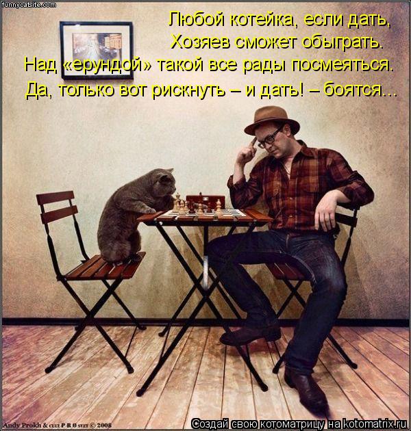 Любой котейка, если дать, Хозяев сможет обыграть. Над «ерундой» такой все рады посмеяться. Да, только... Котоматрица: Любой котейка, если дать, Хозяев сможет обыграть. Над «ерундой» такой все рады посмеяться. Да, только вот рискнуть – и дать! – боятся…