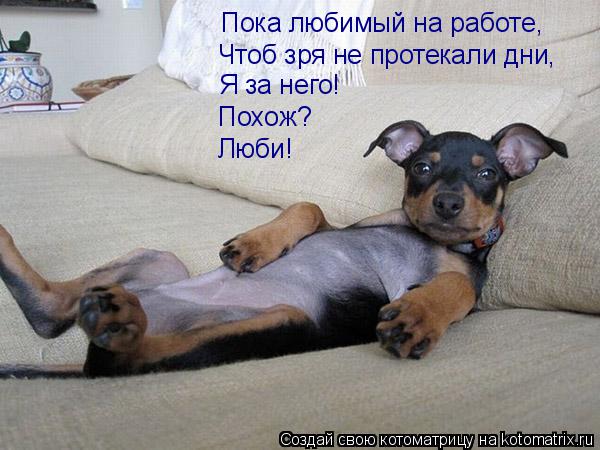 Пока любимый на работе, Чтоб зря не протекали дни, Я за него! Похож? Люби!... Котоматрица: Пока любимый на работе, Чтоб зря не протекали дни, Я за него! Похож? Люби!