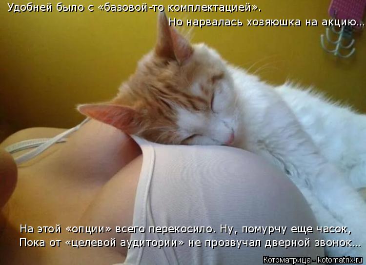 Удобней было с «базовой-то комплектацией». Но нарвалась хозяюшка на акцию… На этой «опции» всего пер... Котоматрица: Удобней было с «базовой-то комплектацией». Но нарвалась хозяюшка на акцию… На этой «опции» всего перекосило. Ну, помурчу еще часок, Пока от