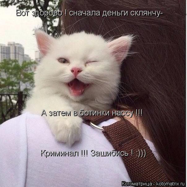 А затем в ботинки нассу !!! Вот здорово ! сначала деньги склянчу- Криминал !!! Зашибись ! :)))... Котоматрица: А затем в ботинки нассу !!! Вот здорово ! сначала деньги склянчу- Криминал !!! Зашибись ! :)))