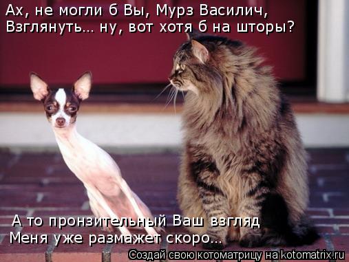 Ах, не могли б Вы, Мурз Василич, Взглянуть… ну, вот хотя б на шторы? А то пронзительный Ваш взгляд Ме... Котоматрица: Ах, не могли б Вы, Мурз Василич, Взглянуть… ну, вот хотя б на шторы? А то пронзительный Ваш взгляд Меня уже размажет скоро…