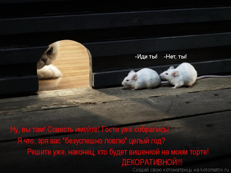 -Иди ты! -Нет, ты! Ну, вы там! Совесть имейте! Гости уже собрались! ДЕКОРАТИВНОЙ!!! Я что, зря вас... Котоматрица: -Иди ты! -Нет, ты! Ну, вы там! Совесть имейте! Гости уже собрались! ДЕКОРАТИВНОЙ!!! Я что, зря вас "безуспешно ловлю" целый год? Решите уже, након