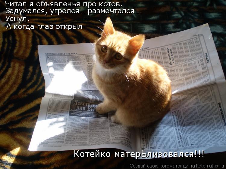 Читал я объявленья про котов. Задумался, угрелся… размечтался… Уснул. А когда глаз открыл Котейко ма... Котоматрица: Читал я объявленья про котов. Задумался, угрелся… размечтался… Уснул. А когда глаз открыл Котейко матерЬлизовался!!!