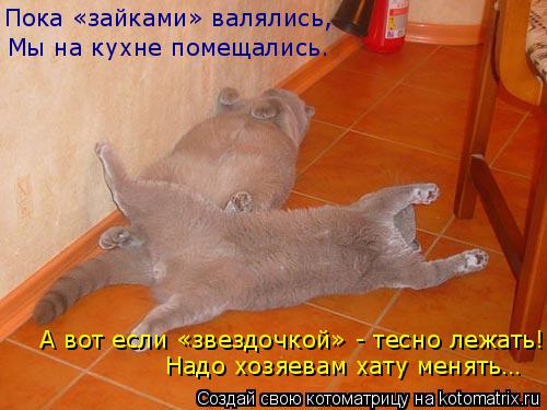 Мы на кухне помещались. Пока «зайками» валялись, А вот если «звездочкой» - тесно лежать! Надо хозяева... Котоматрица: Мы на кухне помещались. Пока «зайками» валялись, А вот если «звездочкой» - тесно лежать! Надо хозяевам хату менять…