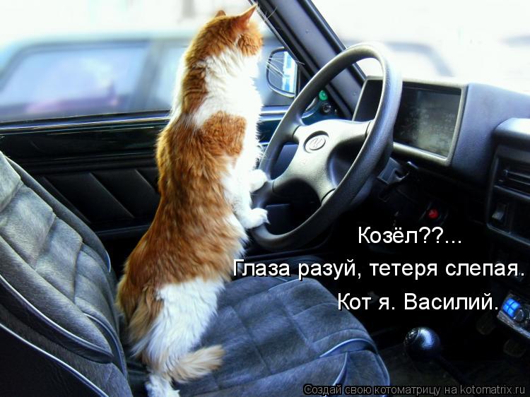Козёл??... Глаза разуй, тетеря слепая. Кот я. Василий.... Котоматрица: Козёл??... Глаза разуй, тетеря слепая. Кот я. Василий.