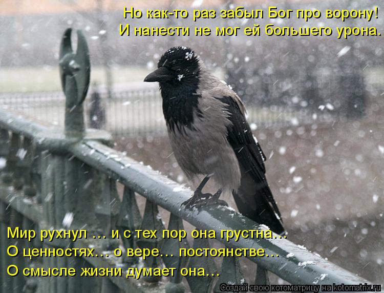 Но как-то раз забыл Бог про ворону! И нанести не мог ей большего урона. Мир рухнул … и с тех пор она ... Котоматрица: Но как-то раз забыл Бог про ворону! И нанести не мог ей большего урона. Мир рухнул … и с тех пор она грустна… О ценностях… о вере… постоянст