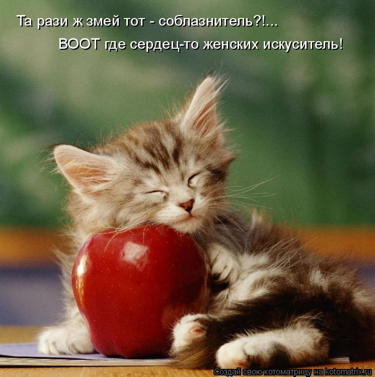 Та рази ж змей тот - соблазнитель?!... ВООТ где сердец-то женских искуситель!... Котоматрица: Та рази ж змей тот - соблазнитель?!... ВООТ где сердец-то женских искуситель!
