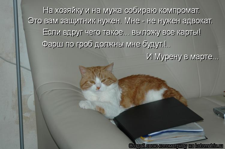 На хозяйку и на мужа собираю компромат. Это вам защитник нужен. Мне - не нужен адвокат. Если вдруг че... Котоматрица: На хозяйку и на мужа собираю компромат. Это вам защитник нужен. Мне - не нужен адвокат. Если вдруг чего такое... выложу все карты! Фарш по гроб