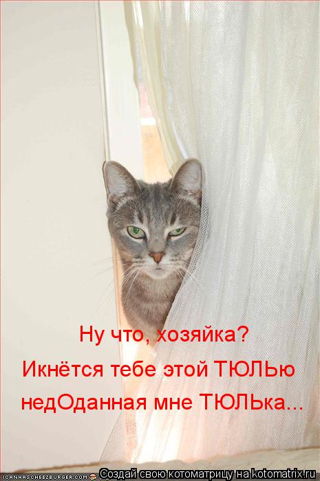 Ну что, хозяйка? Икнётся тебе этой ТЮЛЬю недОданная мне ТЮЛЬка...... Котоматрица: Ну что, хозяйка? Икнётся тебе этой ТЮЛЬю недОданная мне ТЮЛЬка...