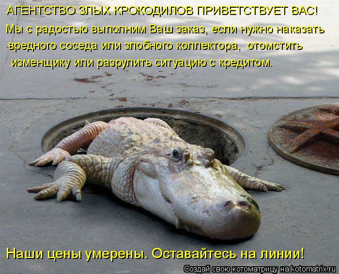 АГЕНТСТВО ЗЛЫХ КРОКОДИЛОВ ПРИВЕТСТВУЕТ ВАС! Мы с радостью выполним Ваш заказ, если нужно наказать вр... Котоматрица: АГЕНТСТВО ЗЛЫХ КРОКОДИЛОВ ПРИВЕТСТВУЕТ ВАС! Мы с радостью выполним Ваш заказ, если нужно наказать вредного соседа или злобного коллектора