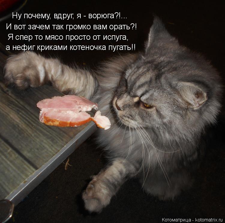 Ну почему, вдруг, я - ворюга?!... И вот зачем так громко вам орать?! Я спер то мясо просто от испуга,... Котоматрица: Ну почему, вдруг, я - ворюга?!... И вот зачем так громко вам орать?! Я спер то мясо просто от испуга, а нефиг криками котеночка пугать!!