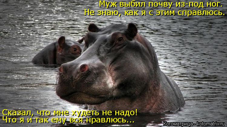 Сказал, что мне худеть не надо! Что я и так ему вся нравлюсь... Муж выбил почву из-под ног. Не знаю, ... Котоматрица: Сказал, что мне худеть не надо! Что я и так ему вся нравлюсь... Муж выбил почву из-под ног. Не знаю, как я с этим справлюсь.