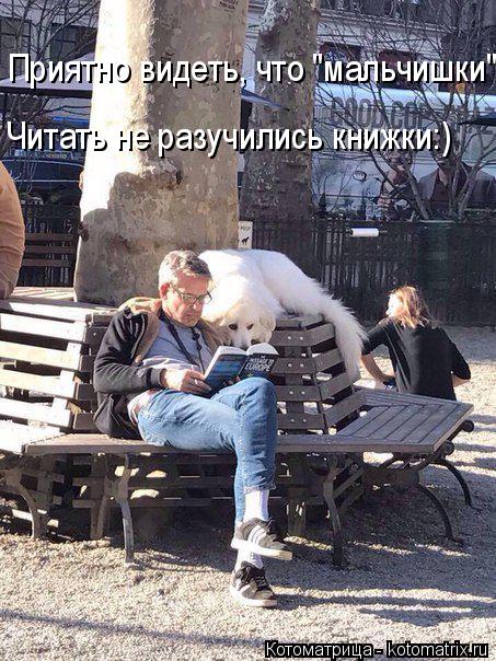 Приятно видеть, что "мальчишки" Читать не разучились книжки:)... Котоматрица: Приятно видеть, что "мальчишки" Читать не разучились книжки:)