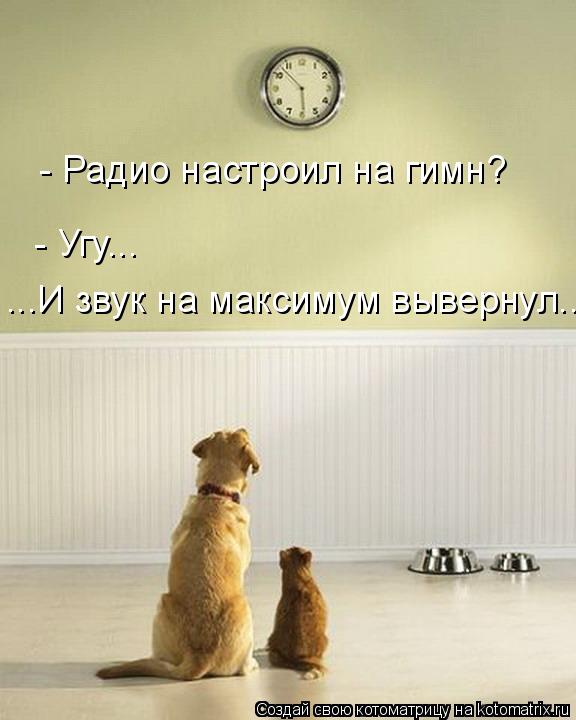 ...И звук на максимум вывернул... - Радио настроил на гимн? - Угу...... Котоматрица: ...И звук на максимум вывернул... - Радио настроил на гимн? - Угу...