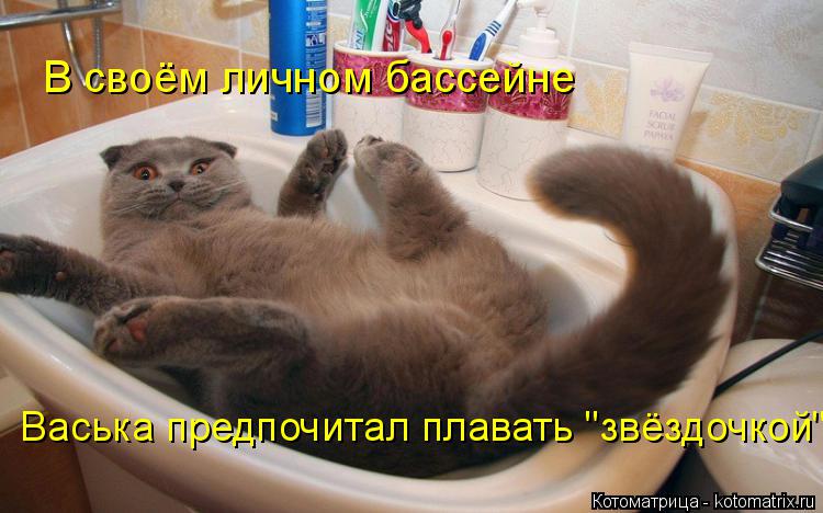 В своём личном бассейне Васька предпочитал плавать "звёздочкой"... Котоматрица: В своём личном бассейне Васька предпочитал плавать "звёздочкой"